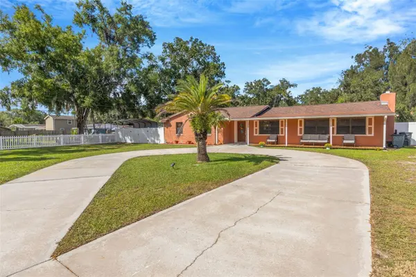 14535 SASSANDRA DR, Odessa, FL 33556
