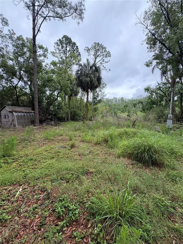 7408 TOM DR, Land O Lakes, FL 34638