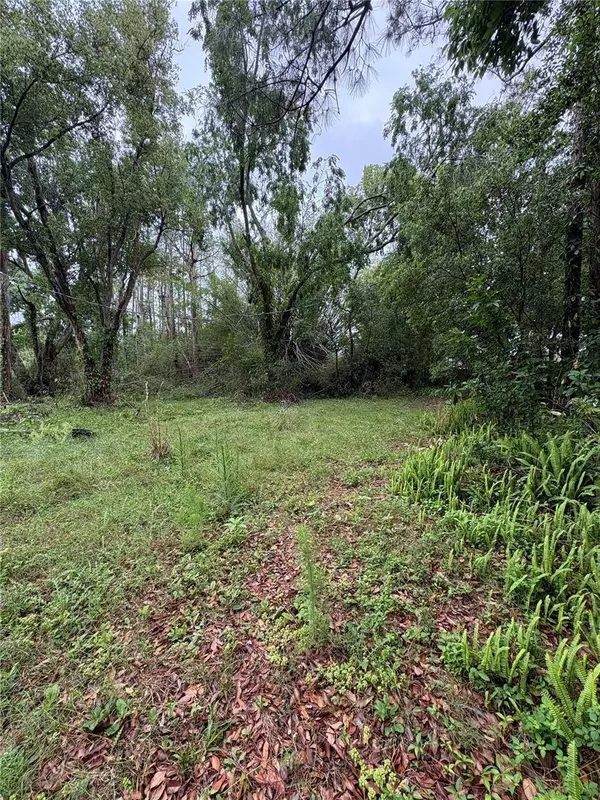 7408 TOM DR, Land O Lakes, FL 34638