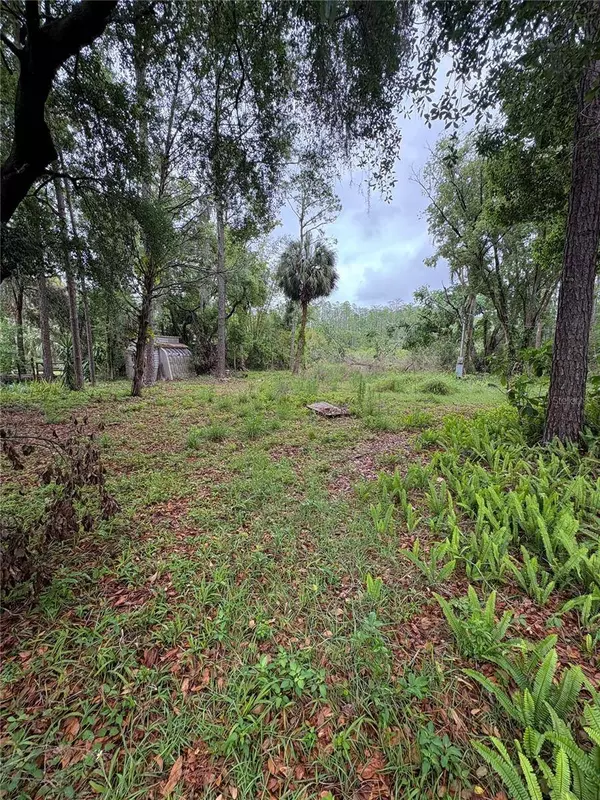 7408 TOM DR, Land O Lakes, FL 34638