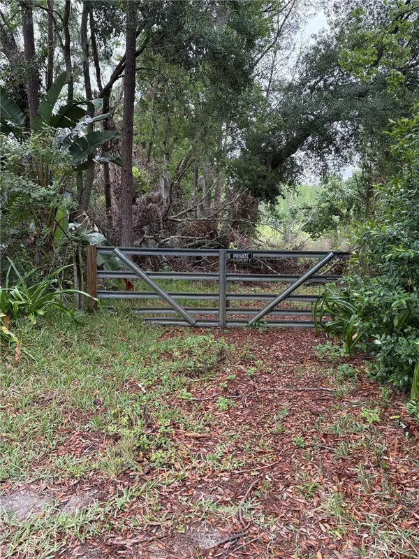 7408 TOM DR, Land O Lakes, FL 34638