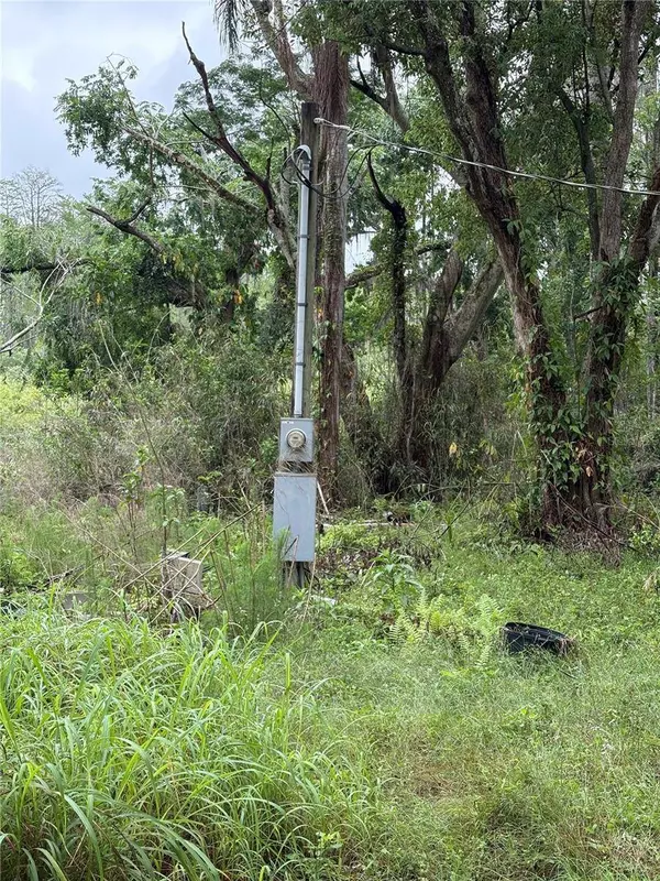 7408 TOM DR, Land O Lakes, FL 34638