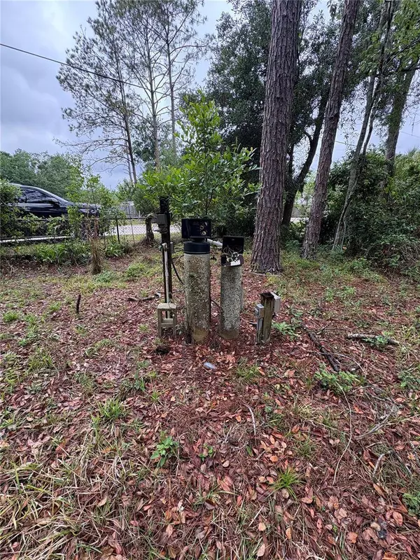 7408 TOM DR, Land O Lakes, FL 34638