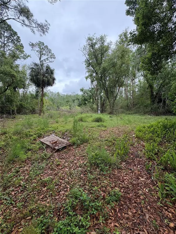 7408 TOM DR, Land O Lakes, FL 34638