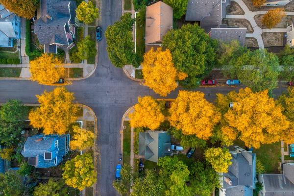 Aerial view of a residential neighborhood with autumn trees