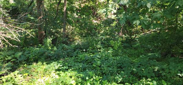 2115 E River RD NE, Rochester, MN 55906