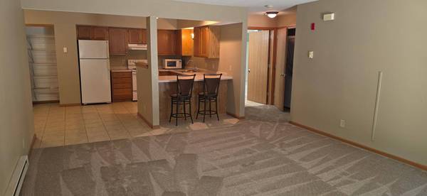 1917 Deerhaven LN NE #20, Rochester, MN 55906
