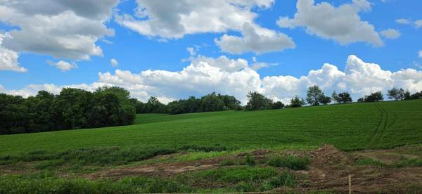 tbd N 408 AVE, Mazeppa, MN 55956