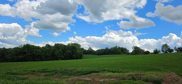 tbd N 408 AVE, Mazeppa, MN 55956