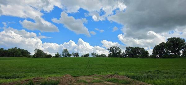 tbd N 408 AVE, Mazeppa, MN 55956