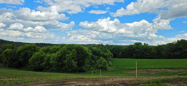 tbd 408 AVE, Mazeppa, MN 55956