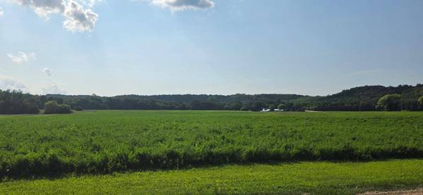 21 County Road, Mazeppa, MN 55956