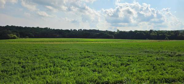 21 County Road, Mazeppa, MN 55956