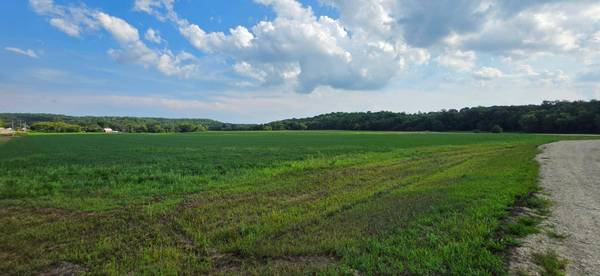 21 County Road, Mazeppa, MN 55956