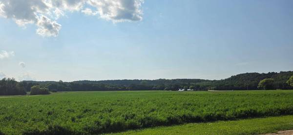 21 County Road, Mazeppa, MN 55956