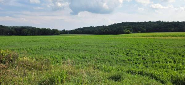 21 County Road, Mazeppa, MN 55956