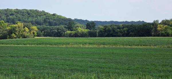 21 County Road, Mazeppa, MN 55956