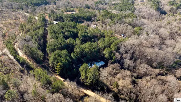 1822 GOLDSMITH ROAD, Downsville, LA 71234