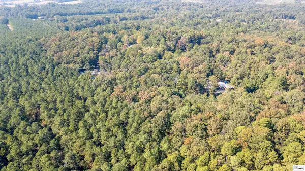 0 LYGGON LANE, Farmerville, LA 71241