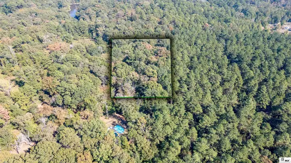 0 LYGGON LANE, Farmerville, LA 71241