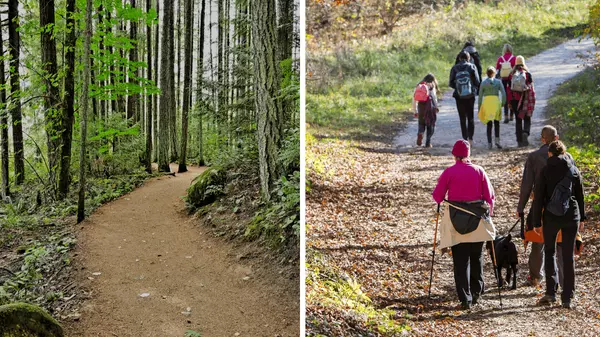 Best Hiking Trails for Fitness & Wellness in Victoria