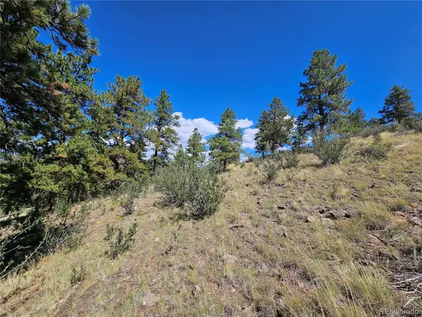 358 Escondida DR, South Fork, CO 81154