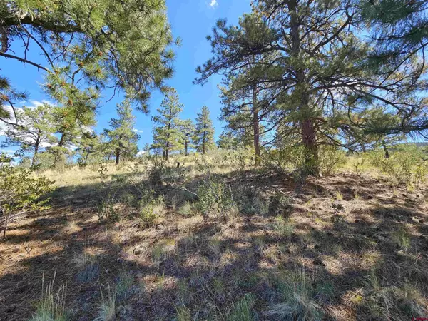 358 Escondida Drive, South Fork, CO 81154
