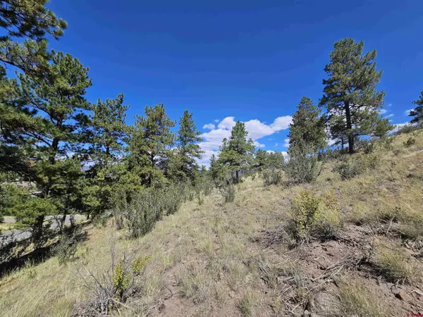358 Escondida Drive, South Fork, CO 81154