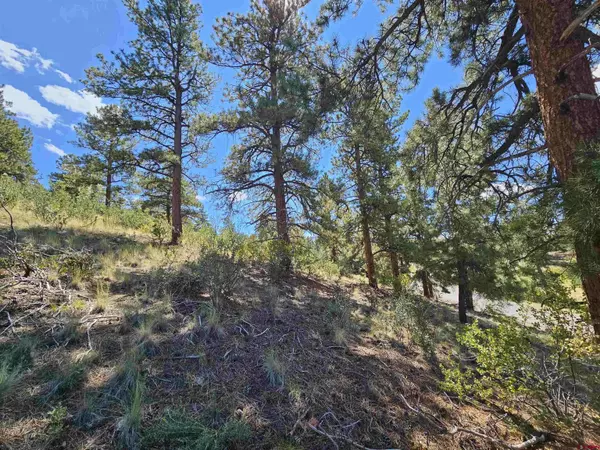 358 Escondida Drive, South Fork, CO 81154