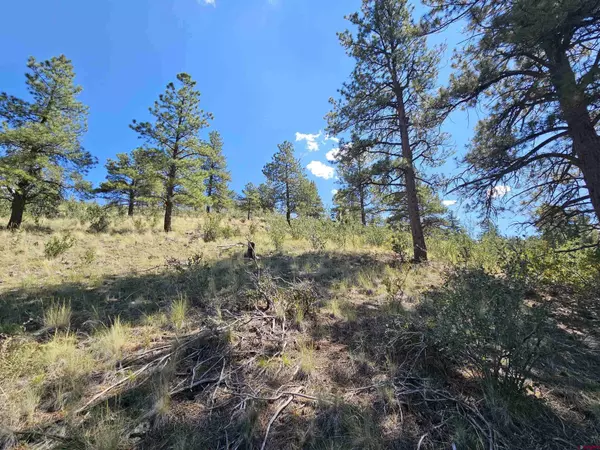 358 Escondida Drive, South Fork, CO 81154