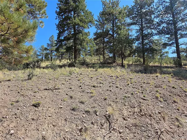 358 Escondida DR, South Fork, CO 81154