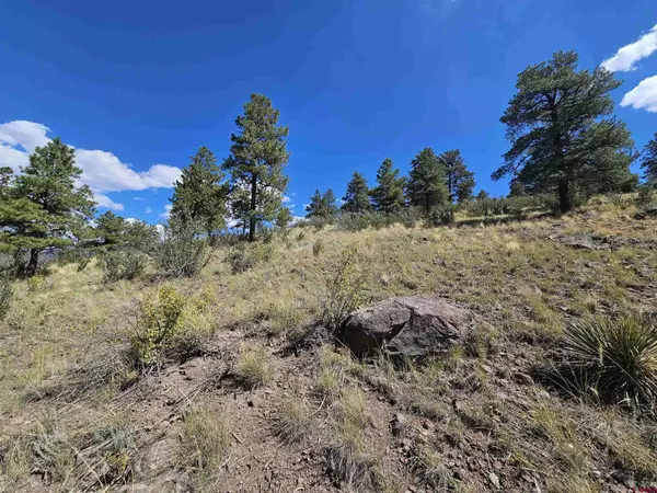 358 Escondida Drive, South Fork, CO 81154