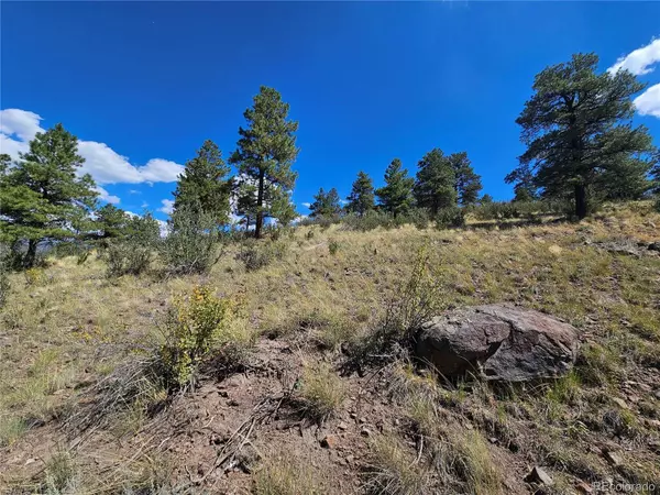 358 Escondida DR, South Fork, CO 81154