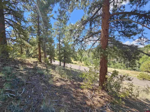 358 Escondida Drive, South Fork, CO 81154
