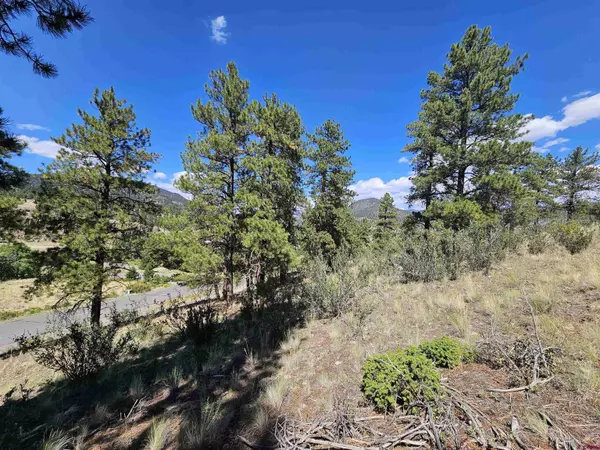 358 Escondida Drive, South Fork, CO 81154