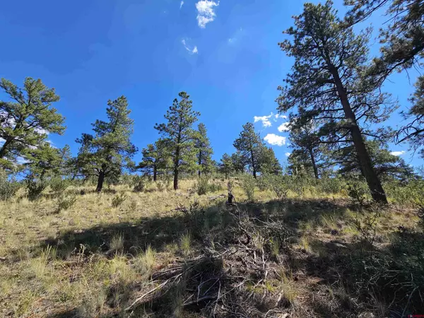 358 Escondida Drive, South Fork, CO 81154