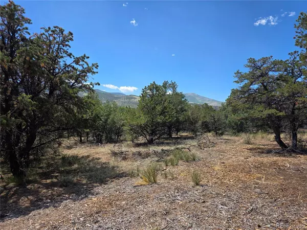 163 Loveland Pass RD, South Fork, CO 81154