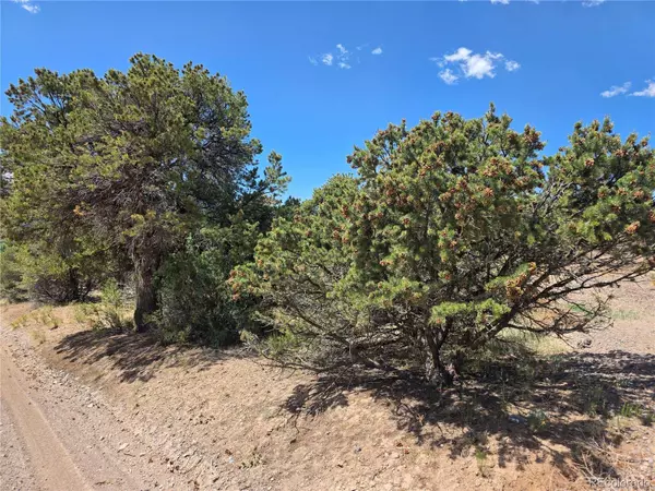 163 Loveland Pass RD, South Fork, CO 81154