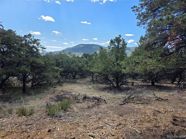 163 Loveland Pass RD, South Fork, CO 81154