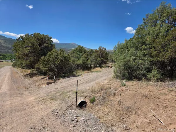 163 Loveland Pass RD, South Fork, CO 81154