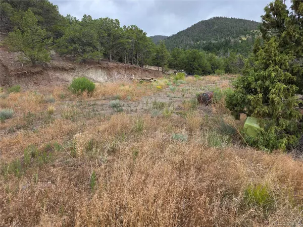 0 Joy RD, San Luis, CO 81152