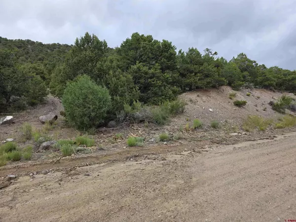 TBD Joy Rd, San Luis, CO 81152