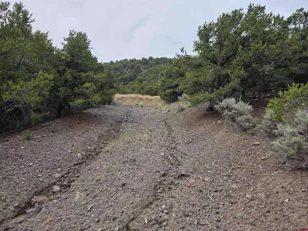 TBD Joy Rd, San Luis, CO 81152