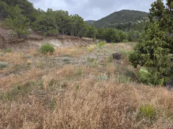 TBD Joy Rd, San Luis, CO 81152