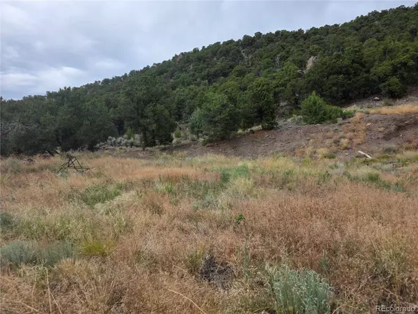 0 Joy RD, San Luis, CO 81152