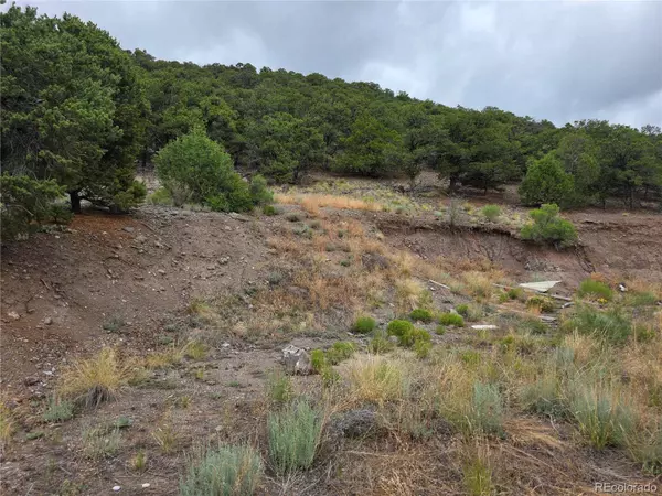 0 Joy RD, San Luis, CO 81152