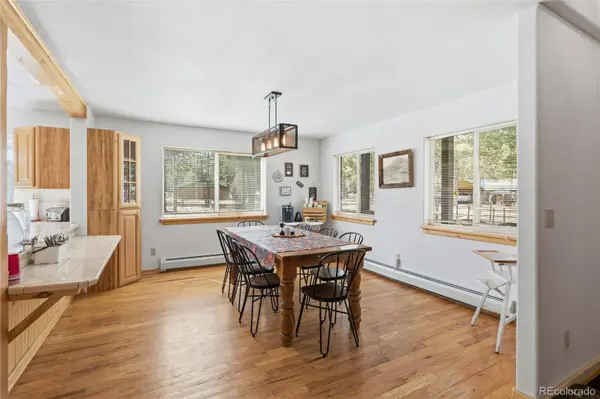 100 Spruce DR, South Fork, CO 81154