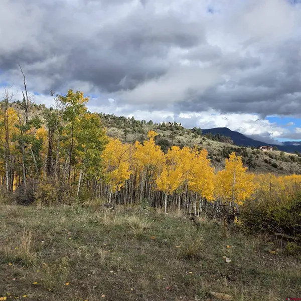 302 Rickel Circle, South Fork, CO 81154
