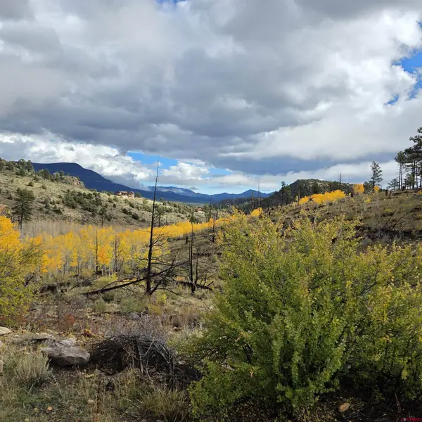 302 Rickel Circle, South Fork, CO 81154