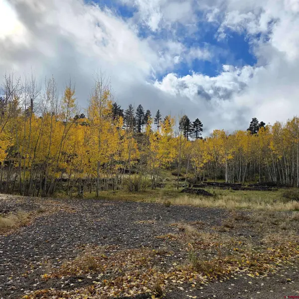 302 Rickel Circle, South Fork, CO 81154